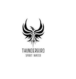 THUNDERBIRD SPIRIT WATER logo
