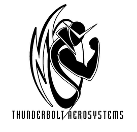 THUNDERBOLT AEROSYSTEMS logo