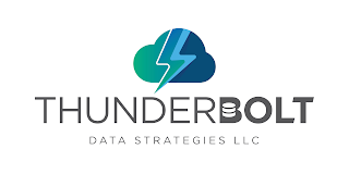 THUNDERBOLT DATA STRATEGIES LLC logo