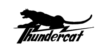THUNDERCAT logo