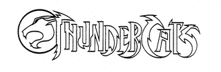 THUNDERCATS logo