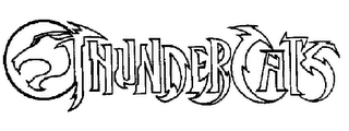 THUNDERCATS