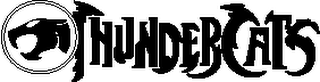 THUNDERCATS logo