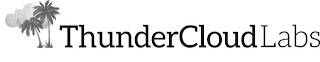 THUNDERCLOUDLABS logo
