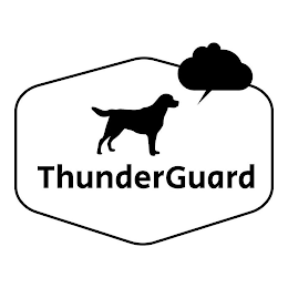 THUNDERGUARD logo