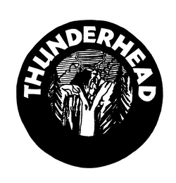 THUNDERHEAD logo