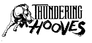THUNDERING HOOVES logo