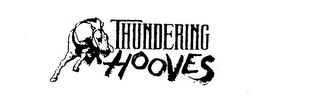 THUNDERING HOOVES logo