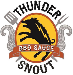 THUNDERSNOUT BBQ SAUCE logo