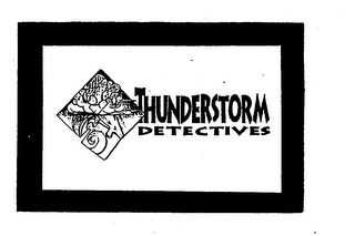 THUNDERSTORM DETECTIVES logo