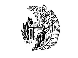 THYANE logo