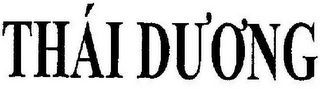 THÁI DUONG logo
