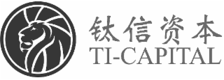 TI-CAPITAL logo