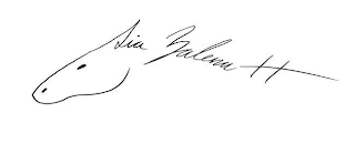 TIA ZALENA H logo