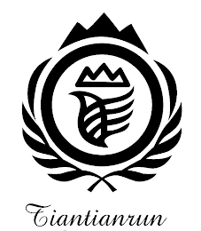 TIANTIANRUN logo
