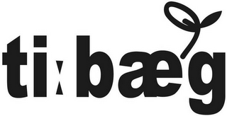 TI:BAEG logo