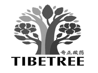 TIBETREE logo