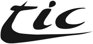 TIC logo