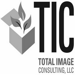 TIC TOTAL IMGAE CONSULTING LLC logo