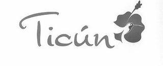 TICUN logo