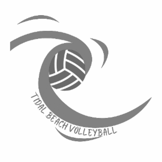 TIDAL BEACH VOLLEYBALL logo