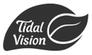 TIDAL VISION logo
