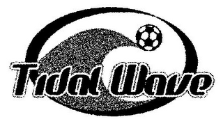 TIDAL WAVE logo