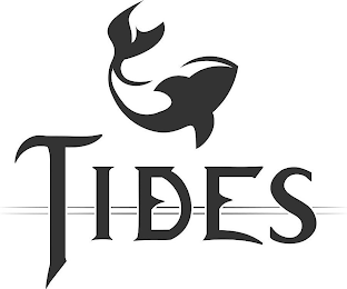 TIDES logo
