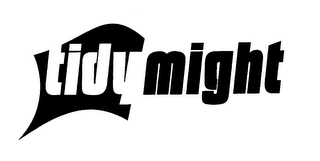 TIDY MIGHT logo