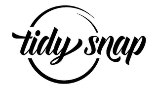 TIDY SNAP logo