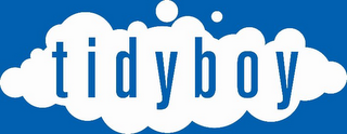 TIDYBOY logo