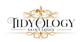TIDYOLOGY SAINT LOUIS logo