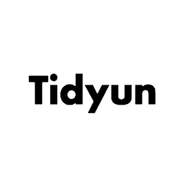 TIDYUN logo