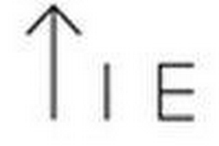 TIE logo