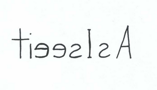 TIEESISA logo