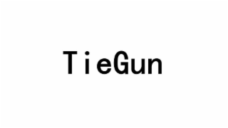 TIEGUN logo