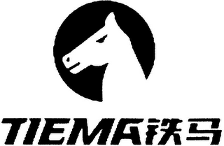 TIEMA logo
