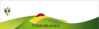 TIERRA BLANCA logo