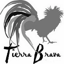 TIERRA BRAVA logo