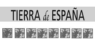 TIERRA DE ESPANA logo