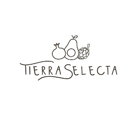 TIERRA SELECTA logo