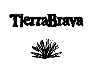 TIERRABRAVA logo