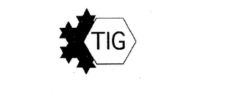 TIG logo