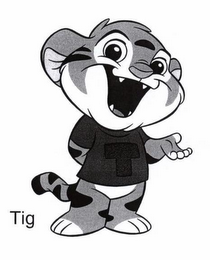 TIG logo