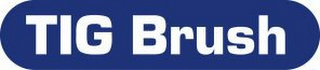 TIG BRUSH logo