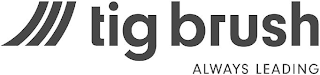 TIG BRUSH ALWAYS LEADING logo