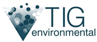 TIG ENVIRONMENTAL INVESTIGATIONS FORENSICS REMEDIATION logo