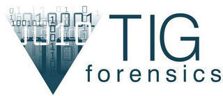 TIG FORENSICS DIGITAL INVESTIGATIONS & SECURITY logo