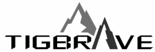 TIGBRAVE logo