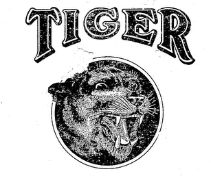 TIGER logo